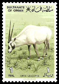 oman oryx